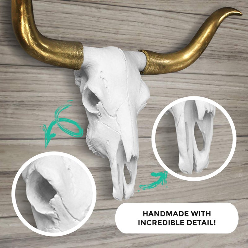 Wallcharmers Gold and White Longhorn Skull Wall Decor, Faux Taxidermy Bull Horns for Wall, Goes Well for Farmhouse Decor, Size, White + Gold Horns - Image 5